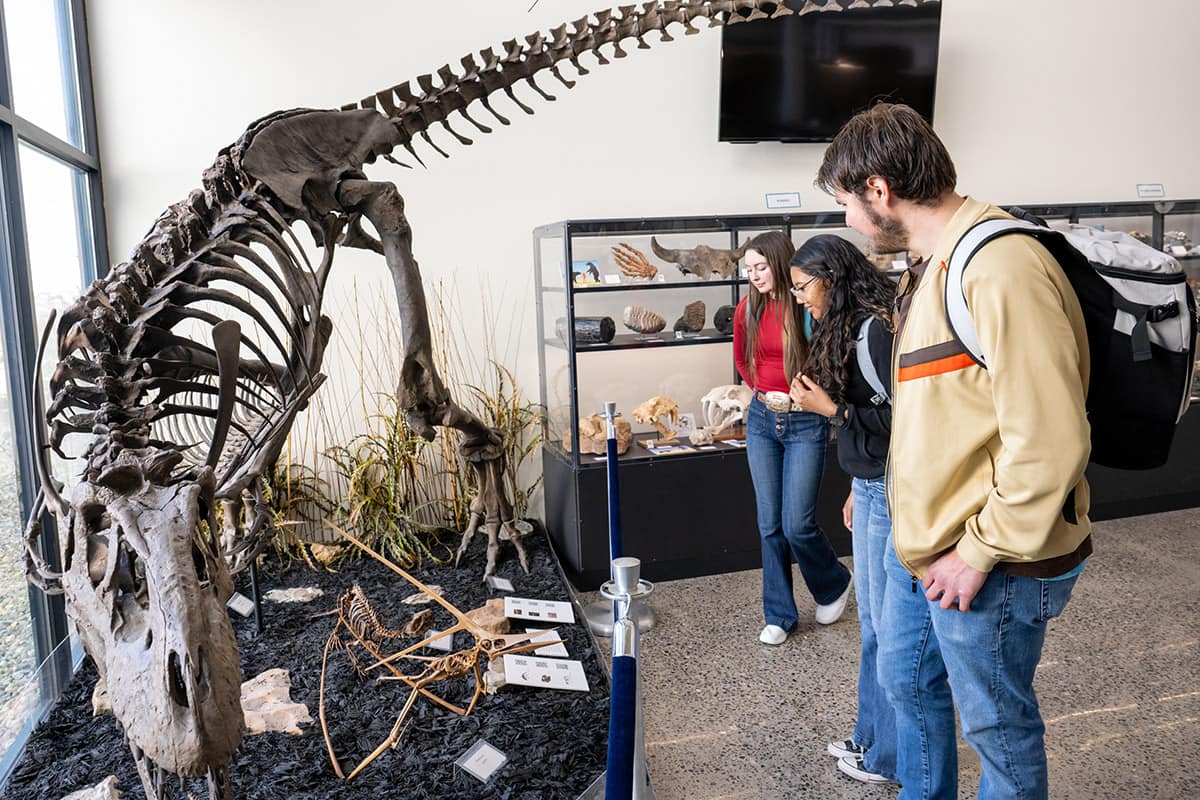SJC students observing a dinosaur fossil at the Dugan Museum