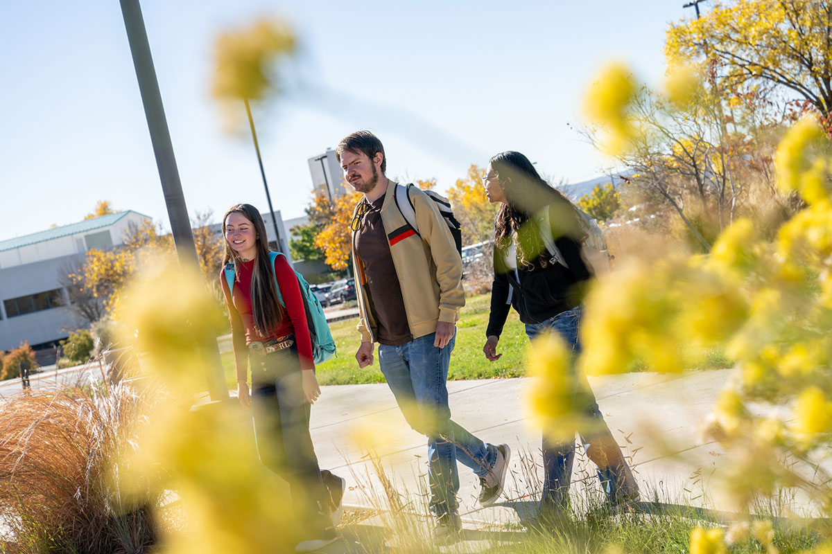 Three SJC students on main campus