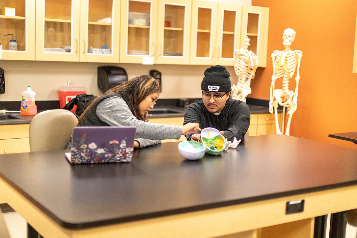 Students go over anatomy models during class lab in human anatomy class.